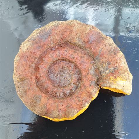 Image result for Using Rust Powder