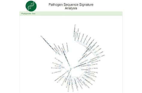 Image result for Radial Tree Graph Visualization Python