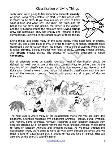 Image result for Classification Living Things Worksheet