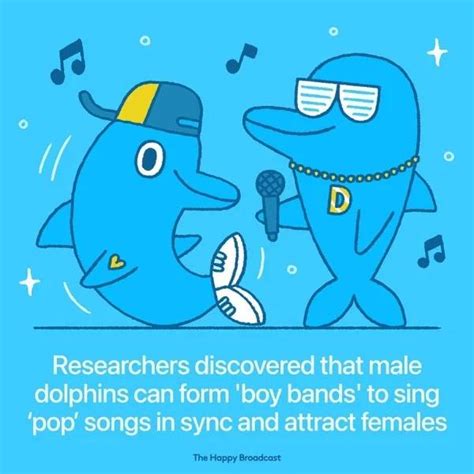 Image result for Random Happy Facts