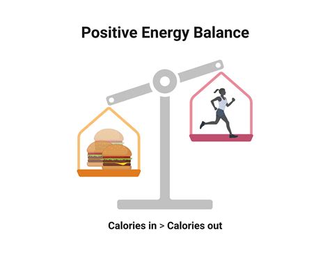 What Is Meant Energy Balance at David Jasmin blog