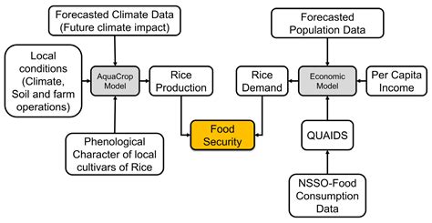 How Far Will Climate Change Affect Future Food Security? An Inquiry into the Irrigated Rice ...