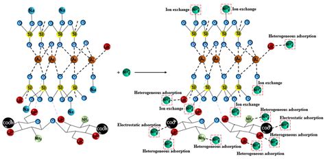 Chitosan Modified Zeolite Molecular Sieve Particles as a Filter for ...