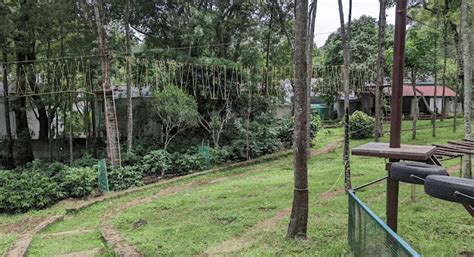 Grange TreeTop Adventure Yercaud: Ticket Price, Timings, Photos