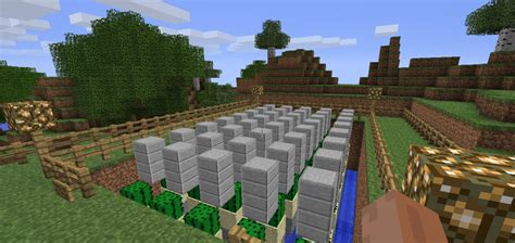 Image result for automatic xp cactus farm minecraft java 1.16.4