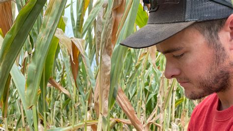 Ohio fire marshal issue burn ban in 24 counties: What that means