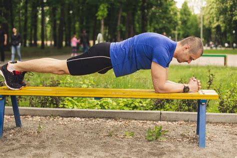 Image result for Bench Plank Exercise