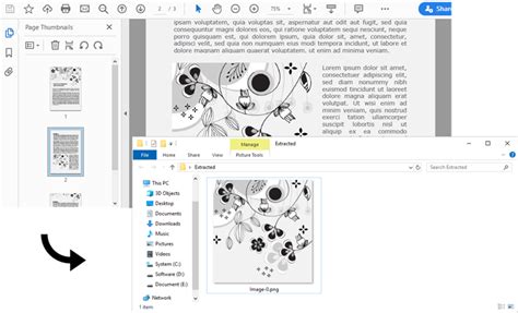 How to Extract Certain Files in Python 的图像结果