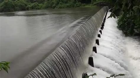 Mumbai: BMC to improve water quality of small lakes in city with help ...