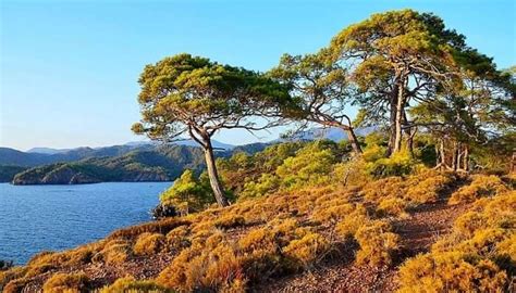 6 Best Turkish Villages For The Perfect Summer Retreat