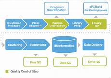 illumina sequencing service fasttrack sequencing service process and offerings illumina sequencing service fasttrack sequencing service process and offerings
