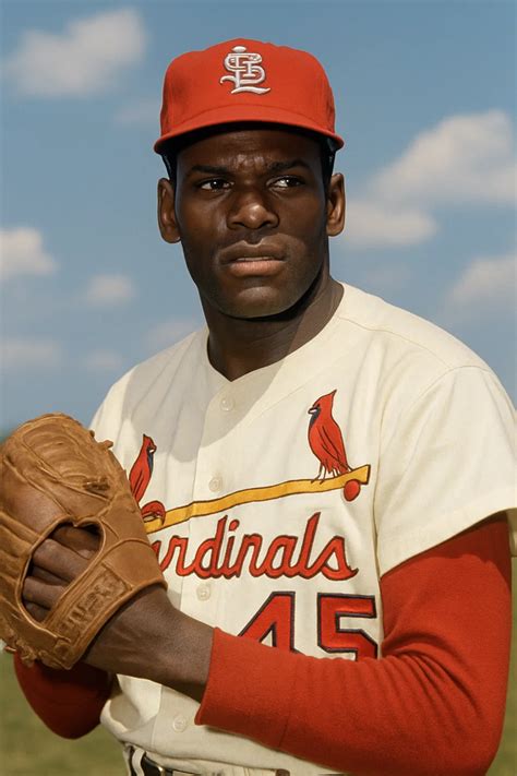 Bob Gibson Career Stats - Bio - Summary - Baseball Icons
