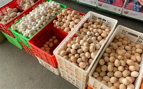 鸡蛋价格下降 短期再降空间有限 今日鸡蛋价格多少钱一斤？_中部纵览_中国网