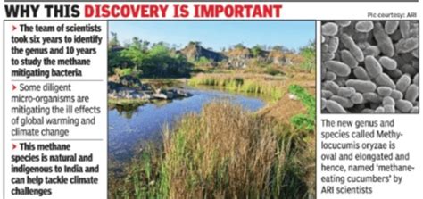 Scientists find India's 1st methane-eating bacteria in Western Ghats ...