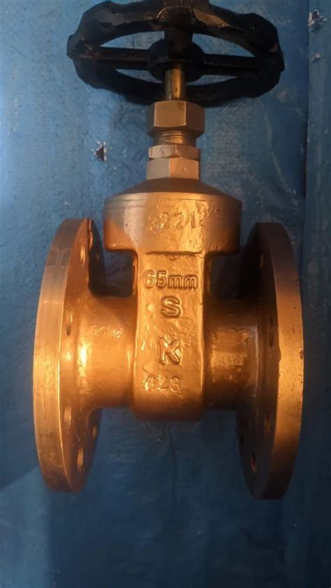Gate Valve - Gate & Sluice Valves Manufacturer from Thane