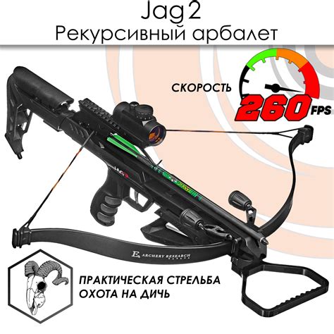 Спортивные арбалеты EK Archery (ЕК Арчери) – купить на OZON по низкой цене