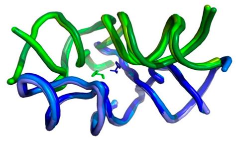 IJMS | Special Issue : Structure, Function and Evolution of the Ribosome