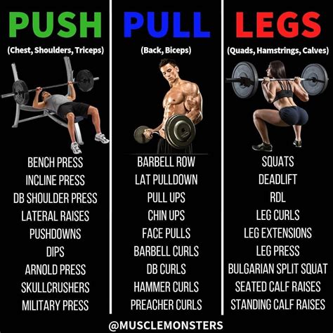Create Your Own Push/Pull/Legs Routine 1. Choose 2-3 exercises per ...