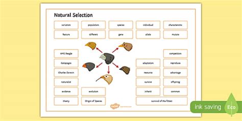 Natural Selection Word Mat