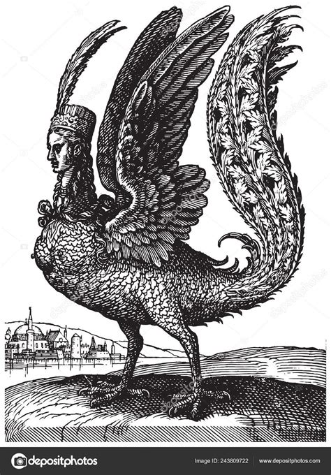 Half Human Half Bird Drawing