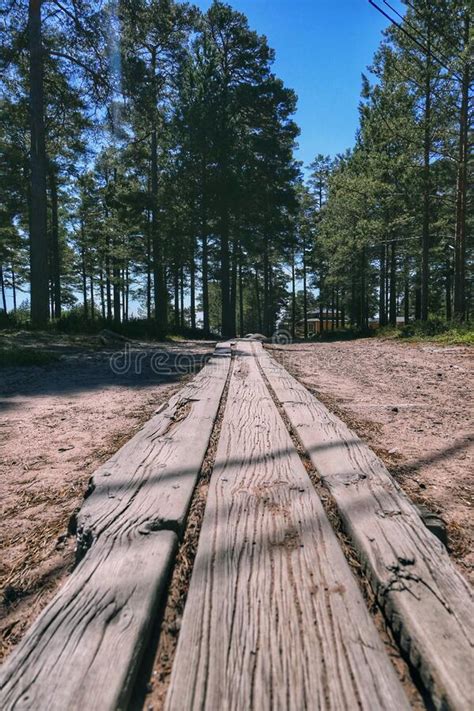 Walk Path 的图像结果
