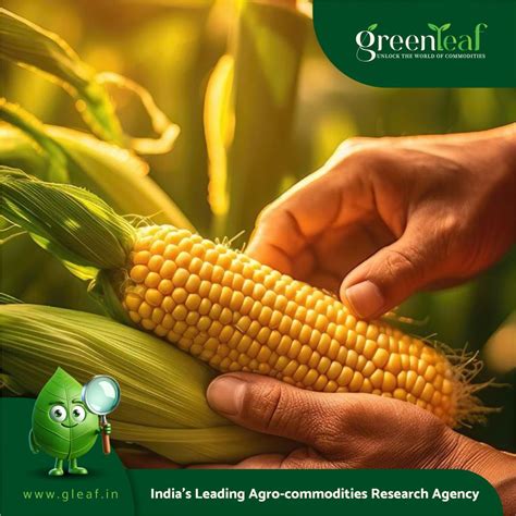 A Breakthrough in Corn-to-Ethanol Conversion?