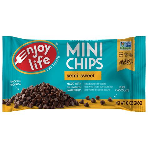 Enjoy Life Semi-Sweet Dairy Free Mini Chocolate Chips, Vegan, 10 oz ...