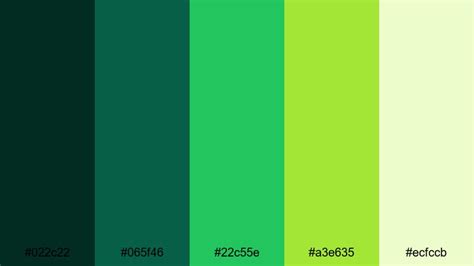 The Best 15 Dark Green Color Palette Ideas for Video & Design