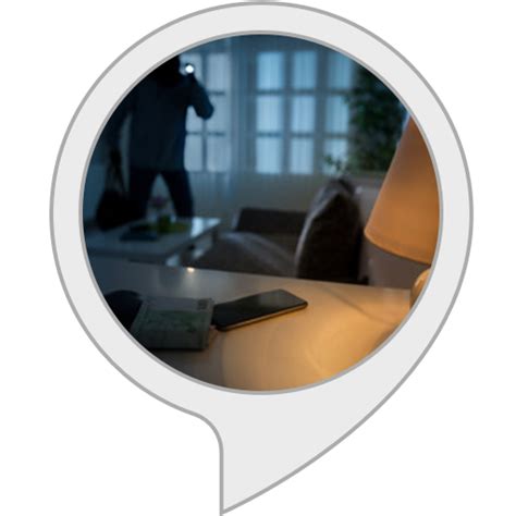 Amazon.in: Theft Protection : Alexa Skills
