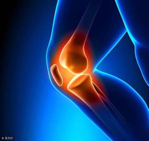 运动如何保护膝盖的机能_膝关节
