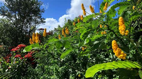 Skype 的图像结果