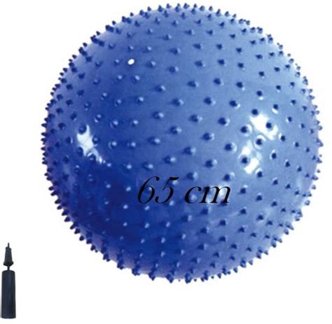 Gym Ball: Buy Gym Balls Online at Best Prices In India | Gymnastic Ball ...