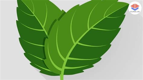 Sage 50 Tutorial 的图像结果