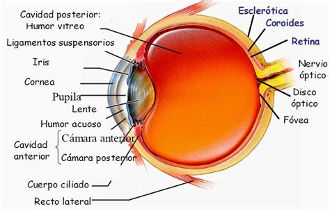 Image result for PTP Algorithm