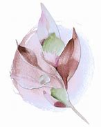 Image result for Free Watercolor Designs