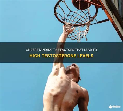 Image result for High Testosterone Levels Sign