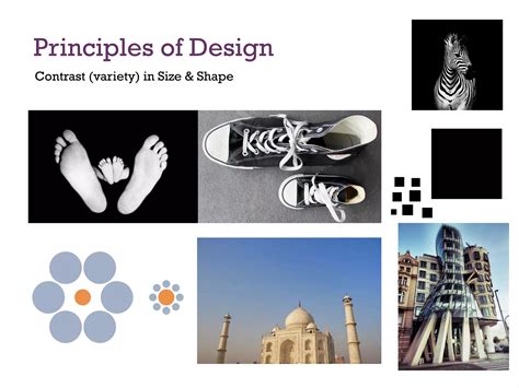 Principles of Design 的图像结果