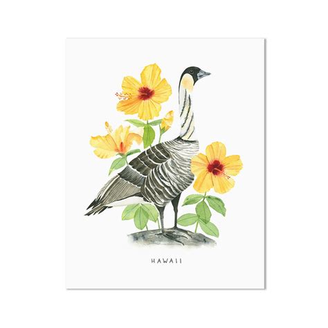 Hawaii State Bird Art Print | Hawaiian Goose (nene) and Hibiscus ...