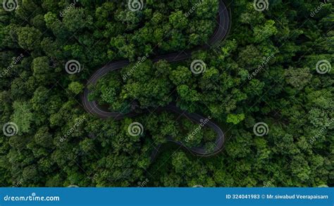 Road 的图像结果