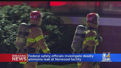 Worker killed in ammonia leak at food processing facility in Norwood - CBS Boston