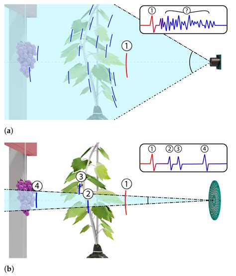 Occluded Grape Cluster Detection and Vine Canopy Visualisation Using an ...
