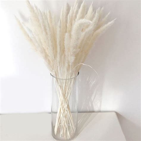 Bakewareind Colored Dried Reed Pampass Grass, 15 sticks ( Select color