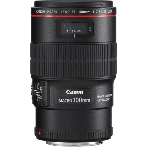 Canon EF 100mm f/2.8L Macro IS USM Lens - Professional Macro ...