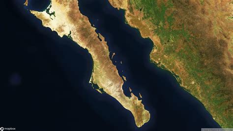 Sea of Cortez Guide | An Informational Blog