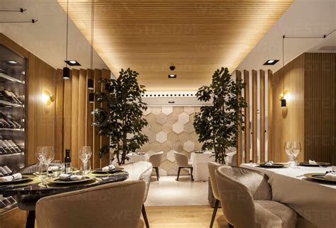 Fancy Restaurant 的图像结果