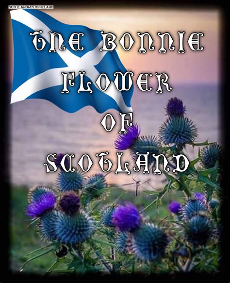 Pin by Nancy Cunningham on Scotland the Brave | Scotland castles ...