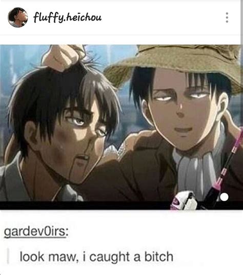 Attack on titan memes aot memes – Artofit