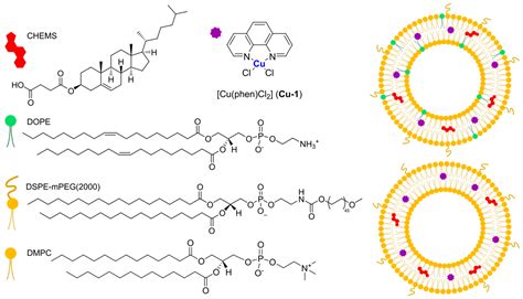 Liposomal Formulations of Metallodrugs for Cancer Therapy