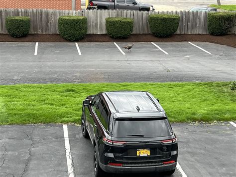 Rhoney Funeral Home, Inc. | Niagara Falls NY