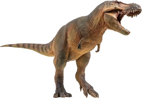 PNSO 58 Luxiong Zhuchengtyrannus Figure | Ubuy India